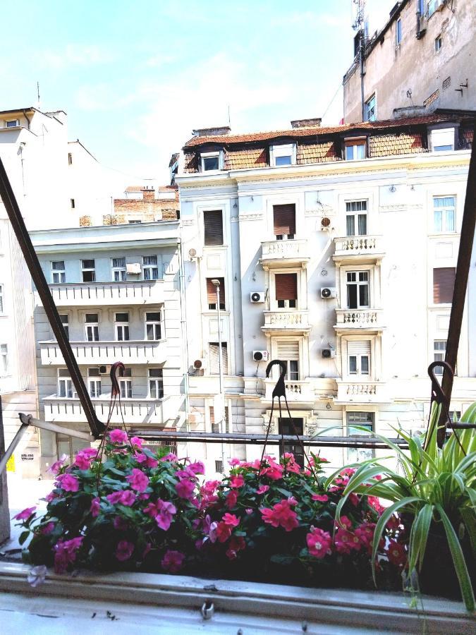 Monica'S House Albergue Belgrado Exterior foto